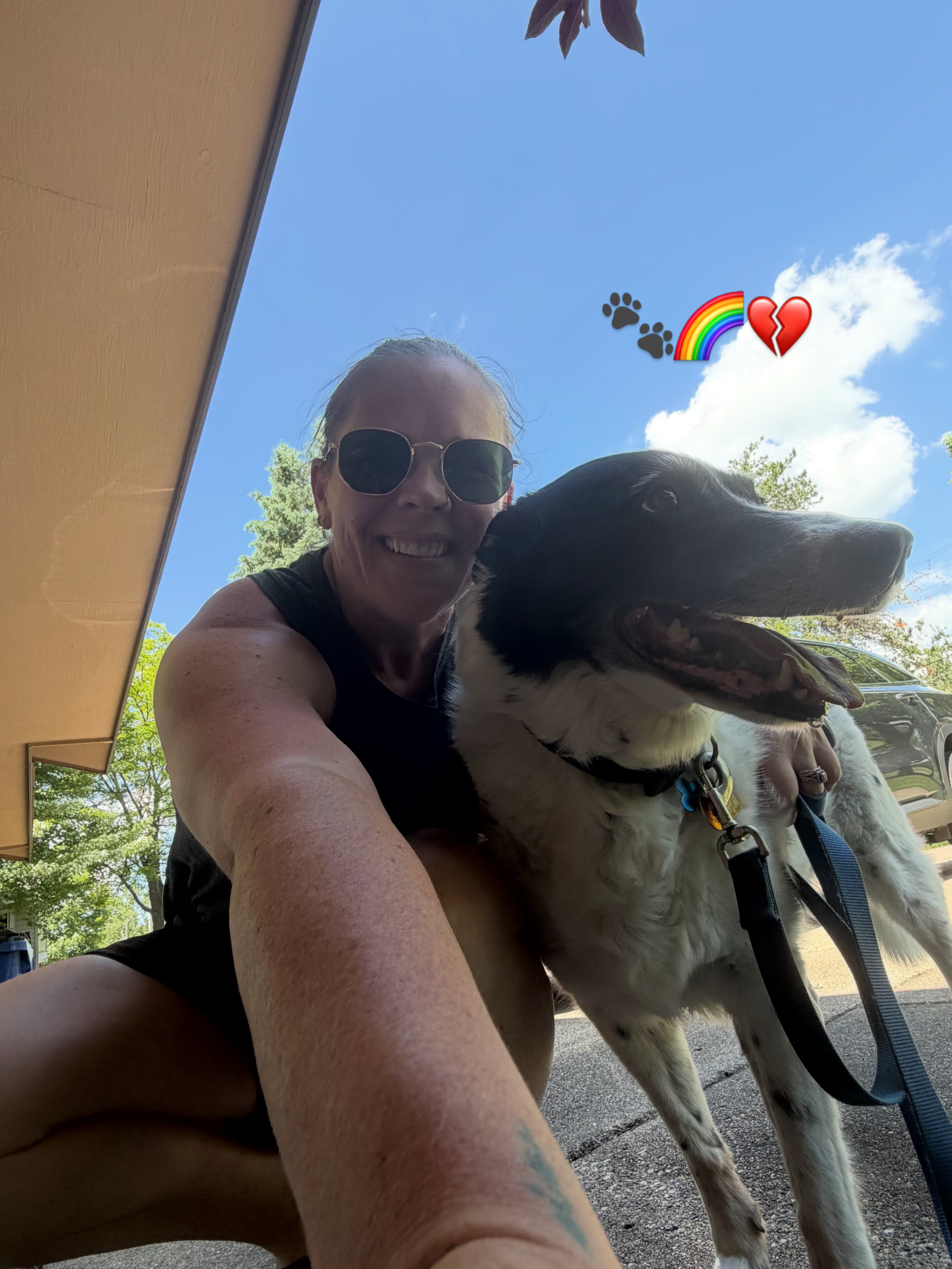 My heart hurts💔 We said goodbye to our Murphy boy tonight and I couldn’t be more devastated. He didn’t come on most of my walks this last year because he wasn’t moving around as good but we took one last walk together today.

He truly was the best dog and idk what I did in this life to find him and call him ours.

Murphy 🌈 6/10/26